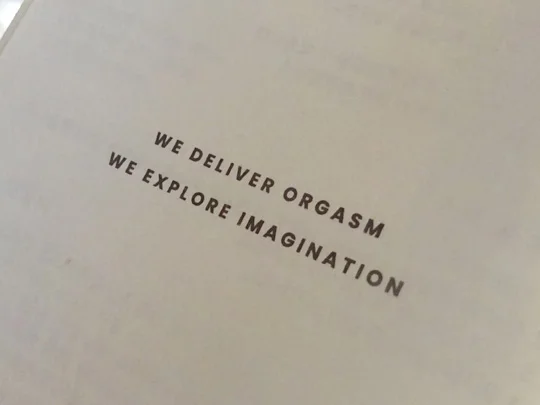 UEROS ウエロス パルスバイブレーター