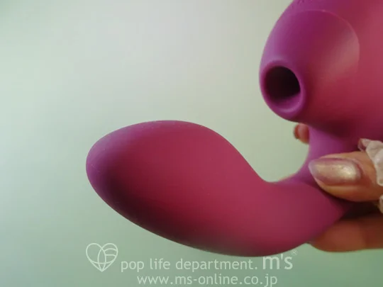 Womanizer Next Duo ウーマナイザー ネクストデュオ