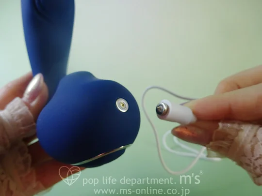 ToyCod TaraS トイコッド タラS 2代目